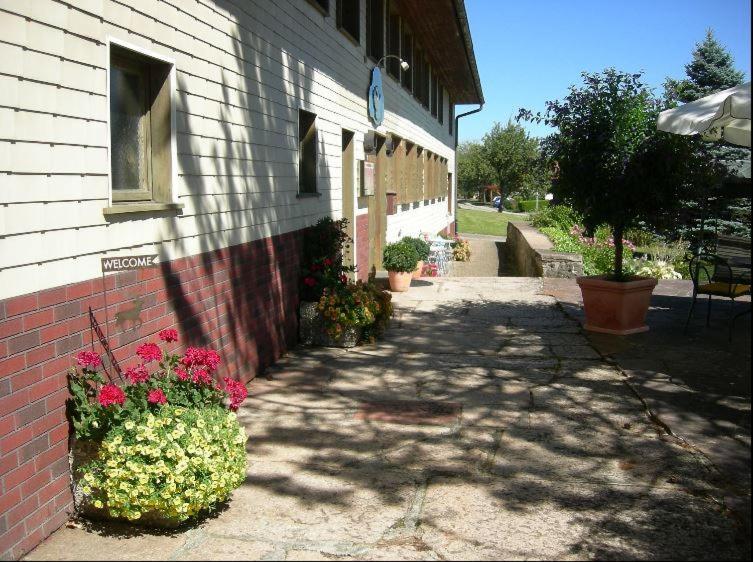 Pension Adler Bannholz Екстериор снимка
